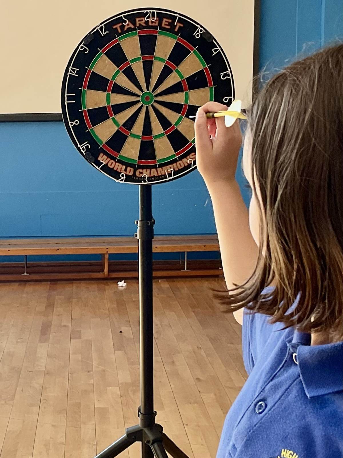 Darts 1